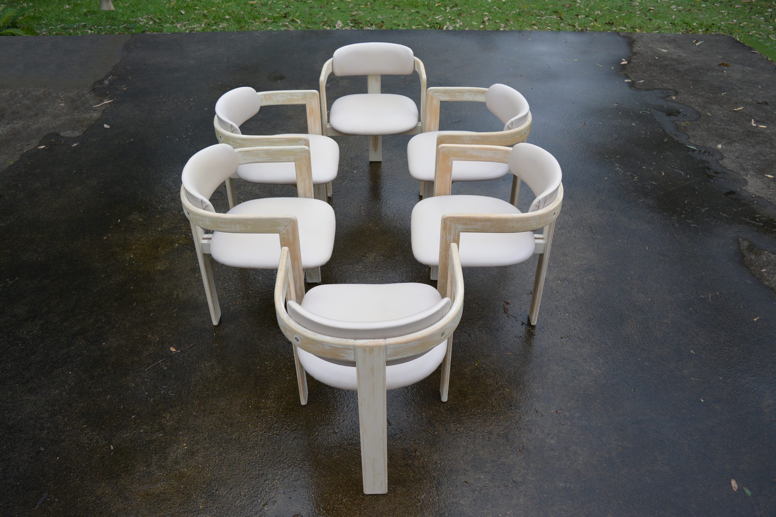 Dining Chairs