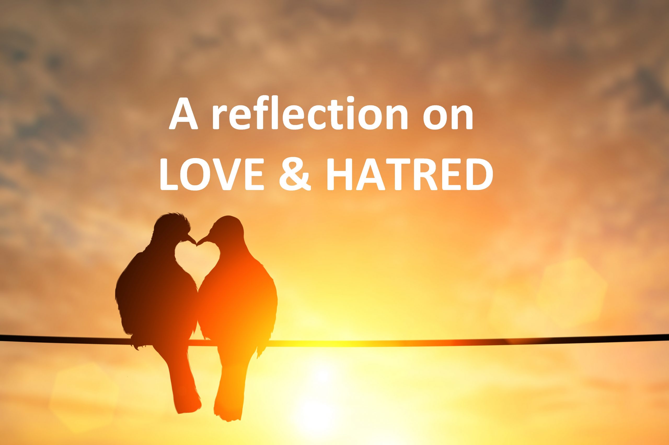 reflection-on-love-and-hatred-writing-by-michael-grealy-gun-reform-peace-not-violence